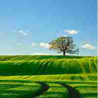 免‌费﻿内﻿容‌缓​存​方‍案‍